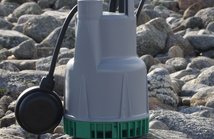 Dp60_m_len